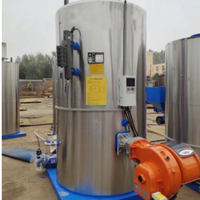Generator Uap Otomatis Vertikal Berbahan Bakar Pelet Biomassa LHS Industrial 150kg/jam 200kg/jam 300kg/jam untuk Sterilisasi Pengolahan Makanan