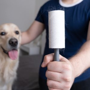 Con lăn Lint cho vật nuôi tóc, 480 Sheets Thêm dính bàn chải Lint con lăn - Product Image 2