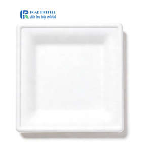 Assiettes carrées en bagasse de canne à sucre de 6/8/10 pouces, personnalisables, micro-ondables, compostables, biodégradables, en papier bagasse - Product Image 2