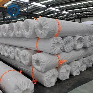 Hdpe membrana impermeável preço de gemembrana no paquistão 2mm hdpe geomembrana para descarga no chile