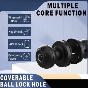 Mount <strong>Black</strong> Smart Ball <strong>Knob</strong> <strong>Door</strong> Lock Fingerprint Unlock Waterproof Anti-Theft Feature for Home Hotel Bedroom Interior <strong>Doors</strong> - Product Image 4