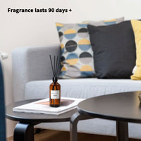 Diffuseurs de désodorisant enfichables parfumés de luxe avec bâtonnets de parfum d'arôme de diffusion à froid de parfum d'intérieur d'huiles essentielles OEM