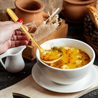 Louche à soupe de 20,5 cm en acier inoxydable poli miroir, écologique, moderne et luxueuse, à manche long et épais, pour la maison et les plats chauds