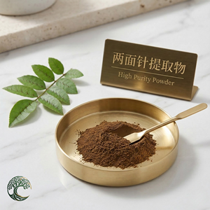 Extracto Herbal de <span class=keywords><strong>Zanthoxylum</strong></span> Nitidum de Buena Calidad, Grado Alimenticio, en Polvo, Envasado al Vacío en Frasco de Vidrio - Product Image 2