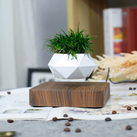 Beau Pot de Plante en Lévitation Magnétique pour Plantes Pot de Fleur Flottant Rotatif Lévitation Bonsaï En Pot Femmes Cadeaux Décor À La Maison