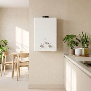Calentador de Agua Instantáneo de Gas Natural/GLP de 10L, Tipo Chimenea, sin Tanque, de Acero Inoxidable, con Múltiples Protecciones de Seguridad - Product Image 1