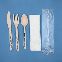 Vaisselle jetable de 17 cm, fourchette, couteau, cuillère avec serviette, écologique, pour mariage, voyage, biodégradable, matériau CPLA