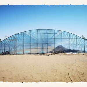 Cubierta de lluvia de película de túnel de polietileno único de PVC de alta calidad para cultivo de arándanos, venta al por mayor, gran invernadero agrícola, cobertizo de plástico - Product Image 2