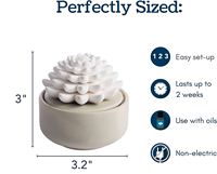 Diffuseur OEM de Cactus blanc diffuseur de parfum et d'huile essentielle diffuseur de porcelaine avec huile essentielle de menthe poivrée