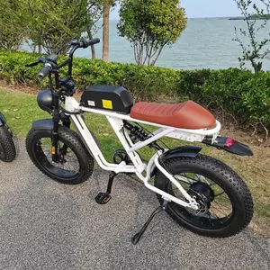 트렌드 2022 공장 가격 전기 자전거 29 Bafang M600 탄소 Ebike 전체 서스펜션 중반 드라이브 산악 자전거 전기