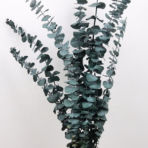 Décoration murale, feuilles d'<span class=keywords><strong>eucalyptus</strong></span> séchées blanches, couronne de fleurs, <span class=keywords><strong>guirlande</strong></span> de fleurs séchées préservées - Product Image 2