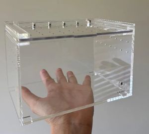 Floresan manyetik akrilik atlama örümcek kertenkele küp Treehouse - Product Image 6