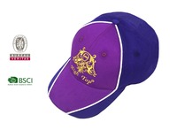 Op Maat Gemaakte 5-Panel Zachte Sport Baseballpet Gepersonaliseerd Met Reliëf Fruit Argyle Patronen En Sportief Gebogen Dobby Design