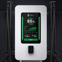 Chargeur mural double pour véhicules électriques DC