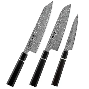 Vg10 Set di coltelli da cucina Set di coltelli giapponesi Set di coltelli da cuoco