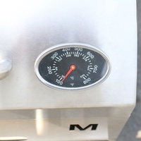 Ensemble d'armoires de cuisine d'extérieur Barbecue à gaz en acier inoxydable Barbecue à gaz Four à pizza Barbecue Grill