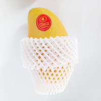 Filet de protection en mousse EPE pour fruits – Filet plastique protecteur et amortissant pour fruits