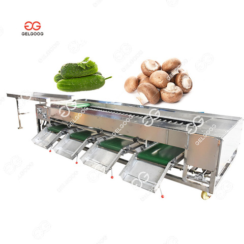 High Capacity Onion Potato Jackfruit Lemon Grading Line Cherry Tomato Grader Kiwi Olive Apple Fruit Sorting Machine
