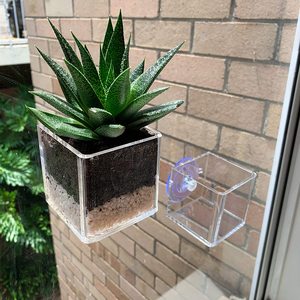 Acrylic Wall Mount Plants Box Home Decoration Window Planter with Suction Cup Acrylic Flowers Pot