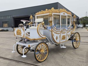 Chariot de mariage électrique simple, sans chevaux, pour la visite touristique, chariot de mariage royal électrique à double fonction pour l'extérieur, à vendre - Product Image 5