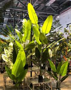 Piante Artificiali Decorative da Interno ad Alta Fedeltà e Tocco Realistico, Ravenala Madagascariensis Adans, Vendita Diretta dalla Fabbrica - Product Image 6