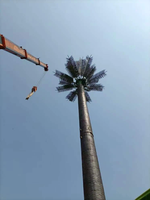 Torre de Telecomunicaciones en Forma de Árbol Junhao, Acero Angular Galvanizado en Caliente, Altura y Color Personalizables, Elevación Manual