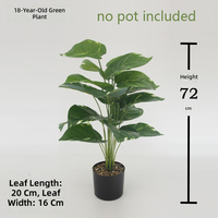 Plantes Artificielles 18 Têtes Aglaonema Style Nordique Bonsaï Décoratif Plastique Feuilles Réalistes Haute Simulation Intérieur Vente en Gros