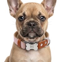 Kalung Anjing Kulit Asli Empuk Mewah dengan Gesper Tulang dari Paduan Seng yang Dapat Disesuaikan, Tahan Lama, untuk Anjing Kecil/Sedang