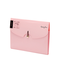 Carpeta de archivos expansible de bolsillo tamaño <span class=keywords><strong>A4</strong></span> personalizable, material PP, organizador de papelería de oficina, productos de archivo de acordeón en expansión - Product Image 2