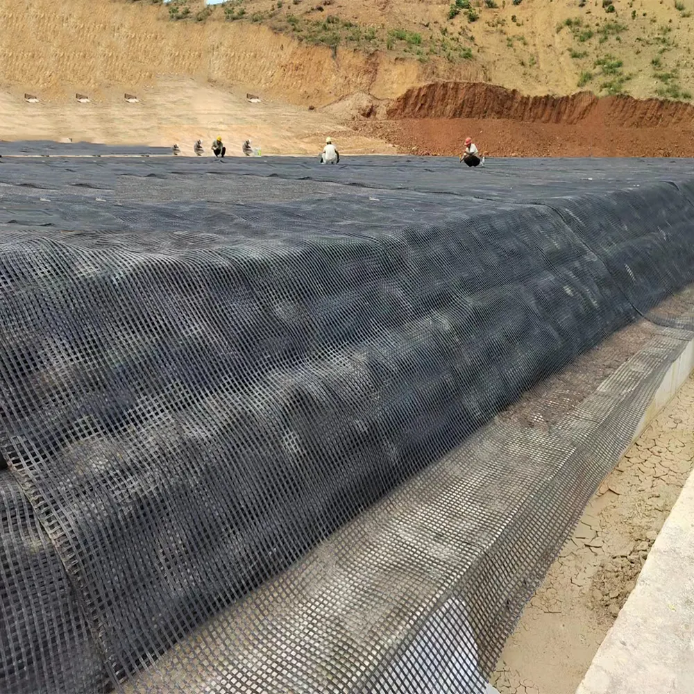 Free Sample Biaxial Polyester Geogrid Pvc Coating For Eirthwork Road Construction Material Retain Wall