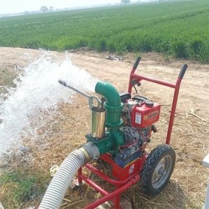 Pompe <span class=keywords><strong>d</strong></span>'<span class=keywords><strong>irrigation</strong></span> agricole auto-amorçante haute pression, hauteur de refoulement 8m - Product Image 1