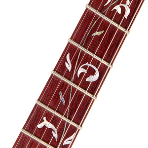 Guitare Bullfighter Floyd Rose Pickup Modèle B100 Manhogany Neck, utilisation professionnelle, guitare personnalisée - Product Image 3