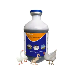 Vitboo additif alimentaire liquide oral pour poulet Nouveau produit Solution orale pour volaille Canard de chair Oie et caille pour la croissance du foie