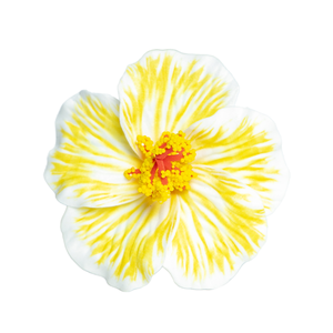 Meilleure Vente : <span class=keywords><strong>Fleur</strong></span> <span class=keywords><strong>de</strong></span> <span class=keywords><strong>Tiaré</strong></span> <span class=keywords><strong>Artificielle</strong></span> en Mousse <span class=keywords><strong>de</strong></span> Plage <span class=keywords><strong>de</strong></span> Haute Qualité (8 cm) et Pique à Cheveux Ours pour la Rentrée Scolaire et la Décoration <span class=keywords><strong>de</strong></span> Fêtes Insulaires - Product Image 2