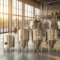 Réservoir de fermentation de bière de micro-brasserie de 1000l, équipement de bière artisanale