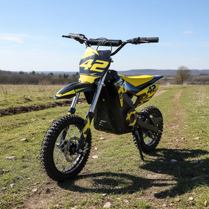 Moto tout-terrain 36V 800W 1000W MIDI pour enfants, styles variés disponibles - Product Image 1