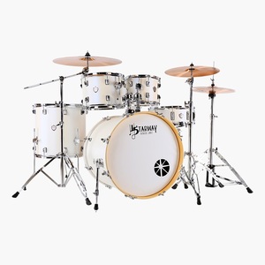 2025 Meilleures Ventes Starway D26 Batterie Jazz Professionnelle pour Débutants Instruments à Percussion - Product Image 6