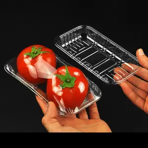 Emporter jetable grand plateau de restauration rapide en plastique pour plateau Machine à sceller viande légumes fruits repas emballage