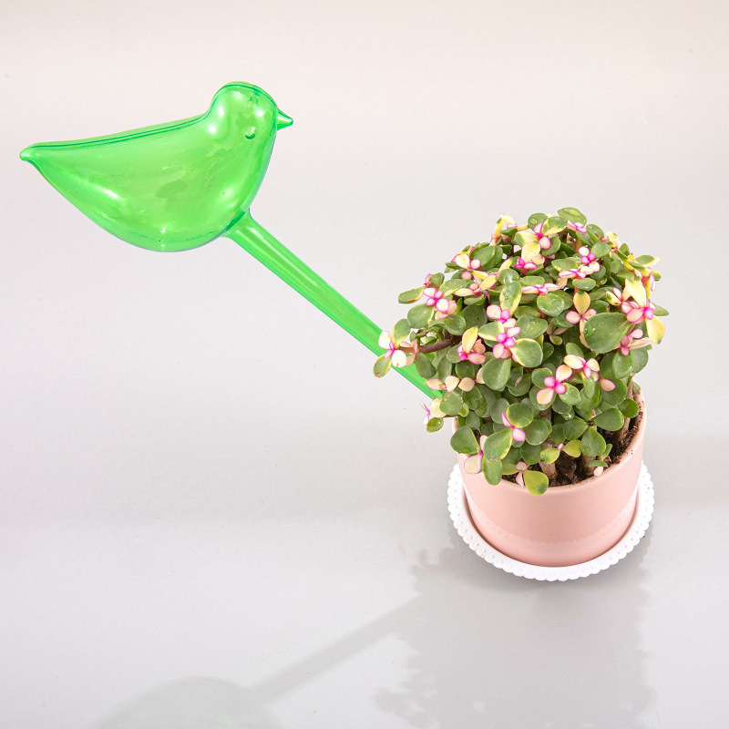 4 GLOBI PER Irrigazione Delle Piante, Globi per Irrigazione un Fungo nel Ve2663 EUR 24,01