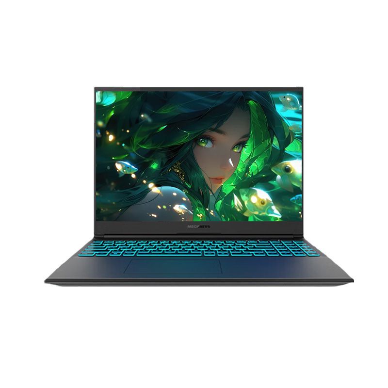 MECHREVO G16 Pro Rtx4070 Gaming Laptop 2.5K Display 165Hz 13th Gen