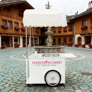 Vitrine congélateur mobile italienne commerciale pour gelato, camion de crème glacée, chariot de restauration de rue - Product Image 6