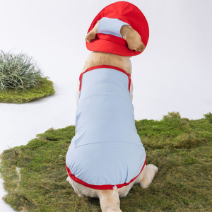 Pakaian pendingin hewan peliharaan, rompi anjing <span class=keywords><strong>Anti</strong></span> kecemasan dan jaket nyaman bersirkulasi panas & dingin - Product Image 2
