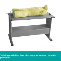 Maniquí de Entrenamiento para Punción Torácica, Modelo de Torso de Silicona para Prácticas con Mesa de Entrenamiento para la Enseñanza de Habilidades Prácticas Escolares