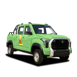 4-Sitzer neuer elektrischer neuer LKW 4x4 Mini Pickup