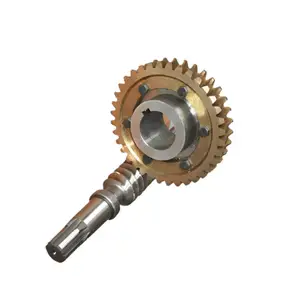 Custom Micro Wheel Gear Brass Bronze Worm Gear And Steel Shaft