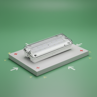 Notfall-Deckenleuchte bei Stromausfall LED Wiederaufladbar Li-FePO4 Batterie AC/DC Betrieben Klein IP65 Kunststoff Wasserdicht 20000