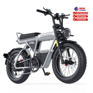 Motocicleta Eléctrica de 2 Plazas, Bicicleta Urbana, 60V 2000W, Batería de Litio de 27.5AH, Motocicleta Todoterreno Eléctrica Cerca de Mí - Product Image 1