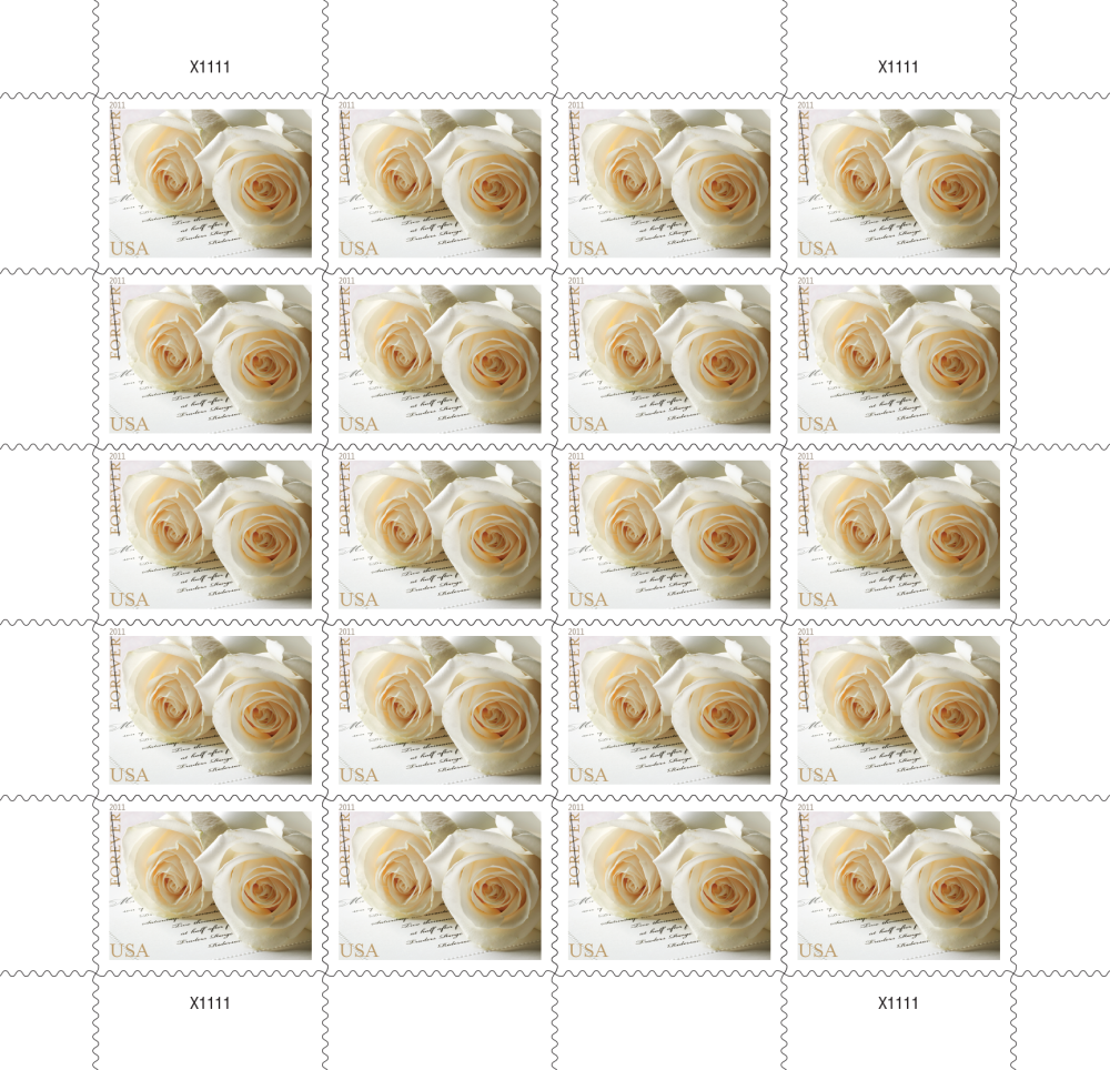 2011 Rosa blanca 500374-B7-18-21BMG