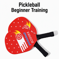 Ensemble de raquettes de pickleball en bois, forme standard, pour entraînement en extérieur, avec balle, pour adultes
