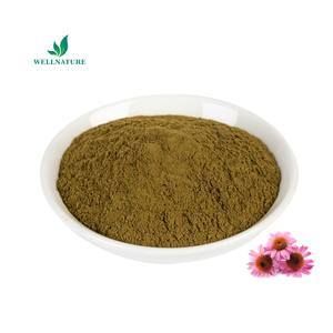 %100 Doğal Toplu Ekinezya Angustifolia Bitkisel Ekstre Tozu %4 Ekinezya Polifenoller Sağlık Sınıfı Organik Sertifikalı Varil - Product Image 2